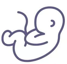 Embryo